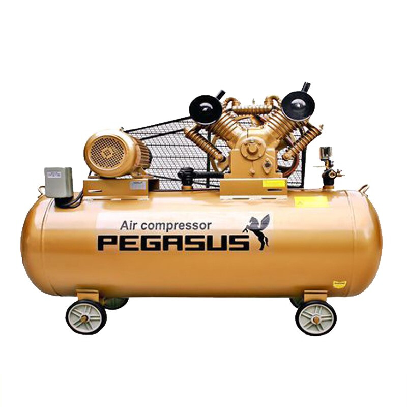 Máy nén khí Pegasus TM-W-1.05/1.25-500L- 10HP